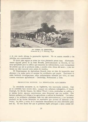 Seller image for LAMINA 25499: En tiempo de Sementera, por J. F. Herring for sale by EL BOLETIN