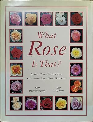 What Rose Is That?