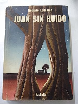 Seller image for Juan sin ruido for sale by Libros nicos