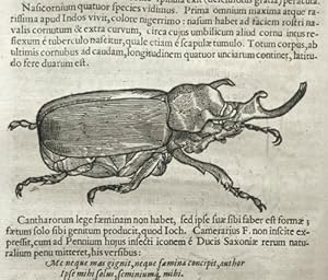 Insectorum sive Minimorum Animalium Theatrum: Olim ab Edoardo Wottono, Conrado Gesnero, Thomaque ...