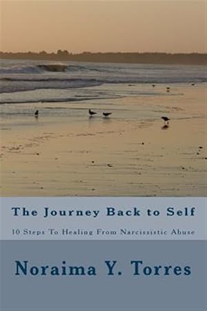Bild des Verkufers fr 10 Steps to Healing After Narcissistic Abuse zum Verkauf von GreatBookPrices