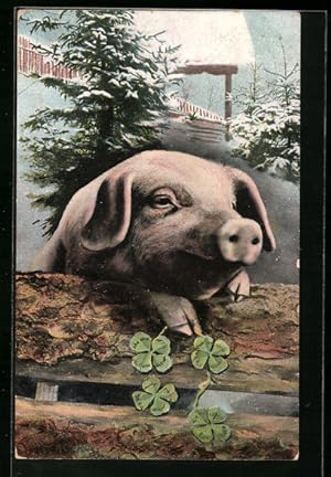 Bild des Verkufers fr Ansichtskarte Glcksschwein guckt ber einen Zaun, Kleebltter zum Verkauf von Bartko-Reher