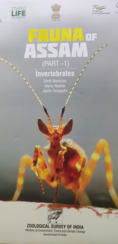 Seller image for Fauna of Assam: Part 1: Invertebrates for sale by Vedams eBooks (P) Ltd