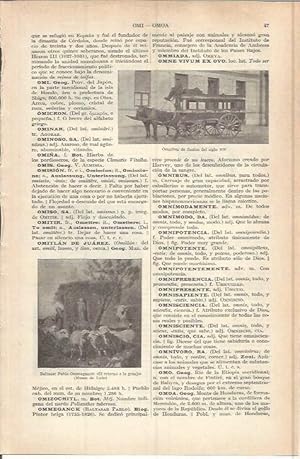 Seller image for LAMINA ESPASA 37689: Omnibus de finales del siglo XIX for sale by EL BOLETIN