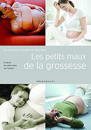 Bild des Verkufers fr Les petits maux de la grossesse zum Verkauf von Dmons et Merveilles