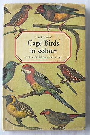 Cage Birds In Colour