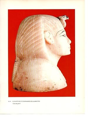 Seller image for LAMINA 27948: Busto de Tutankhamon en alabastro for sale by EL BOLETIN