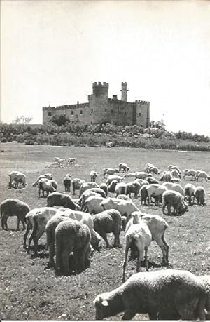 Imagen del vendedor de LAMINA V02022: Caceres. Castillo de las Arguijuelas de Arrinbs a la venta por EL BOLETIN