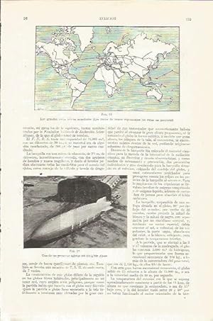 Imagen del vendedor de LAMINA V04115: Rutas aereas mundiales y dirigible Akron a la venta por EL BOLETIN