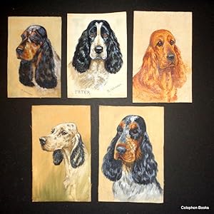 Cocker Spaniels "Peter", "Shelley", "Bracken", "Pentowen, Wistful" & 21 other oil and mixed media...