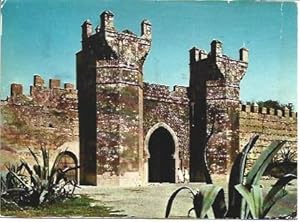 Image du vendeur pour POSTAL L00091: Puerta de Chellah en Rabat, Marruecos mis en vente par EL BOLETIN