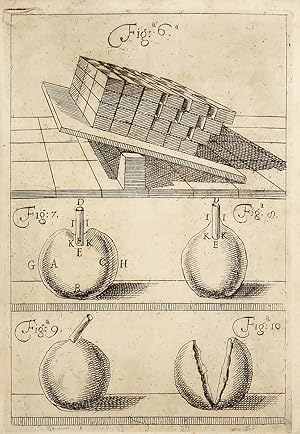 Della natura dell'umido, e del secco. Lettera all'illustrissimo Sig. Francesco Redi.