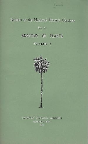 The Anatomy of the Stem of Palms and the Problem of the Artificial Genus Palmoxylon Schenk