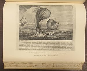 L'aeronautica italiana nell'immagine 1487-1875. bibliografia di Giuseppe Boffito con aggiunte di ...