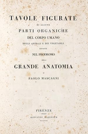 Prodromo della grande anatomia. Seconda opera postuma di.posta in ordine e pubblicata a spese di ...