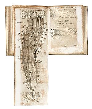 MISCELLANEA Curiosa medico-phisica academiae naturae curiosorum, sive Ephemeridum medico-physicar...