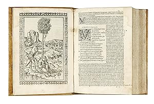 Li Sonetti Canzone e Triumphi del Petrarcha con li suoi commenti.