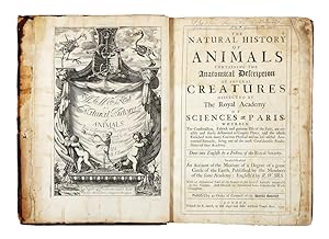 NATURAL (THE) History of Animals containing the Anatomical Description of several Creatures disse...