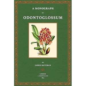 Bild des Verkufers fr A Monograph of Odontoglossum zum Verkauf von Versandantiquariat Nussbaum