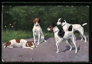 Bild des Verkufers fr Ansichtskarte Vier langbeinige Hunde begegnen sich zum Verkauf von Bartko-Reher