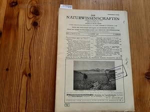 Imagen del vendedor de Die Naturwissenschaften. Konvolut. 19 Hefte aus 1928 (19 HEFTE) a la venta por Gebrauchtbcherlogistik  H.J. Lauterbach