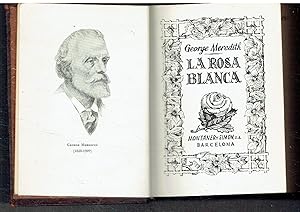 La rosa blanca.