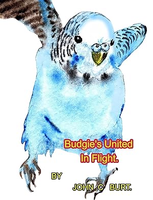Seller image for Budgie's United In Flight. for sale by Redux Books