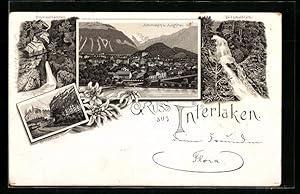 Vorläufer-Lithographie Interlaken, Trümmelbachfall, Glessbachfall, Jungfrau 1895
