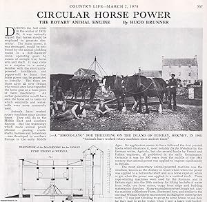 Seller image for The Rotary Animal Engine. Several pictures and accompanying text, removed from an original issue of Country Life Magazine, 1978. for sale by Cosmo Books