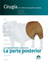 Seller image for La parte posterior : ciruga en la clnica de pequeos animales for sale by AG Library