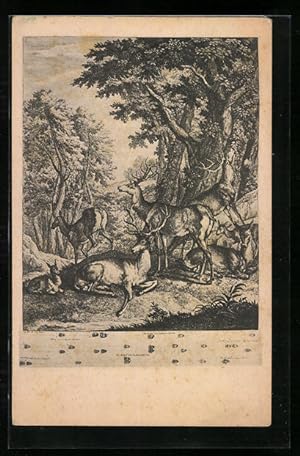 Bild des Verkufers fr Ansichtskarte Hirsche im Wald auf einer Lichtung zum Verkauf von Bartko-Reher