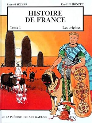 Image du vendeur pour Histoire de France T1 Les origines - De la Prhistoire aux Gaulois mis en vente par Dmons et Merveilles