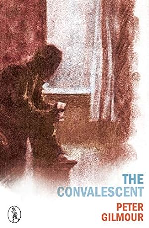 Seller image for The Convalescent: 13 (Vagabonds) for sale by WeBuyBooks