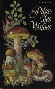 Bild des Verkäufers für Pilze des Waldes zum Verkauf von Leipziger Antiquariat