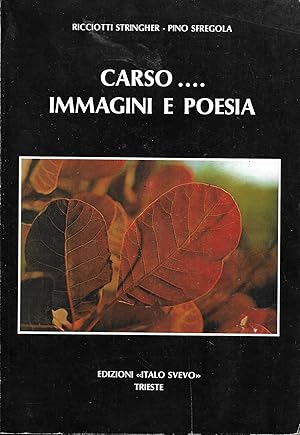 Bild des Verkufers fr CARSO.IMMAGINI E POESIA. zum Verkauf von MULTI BOOK