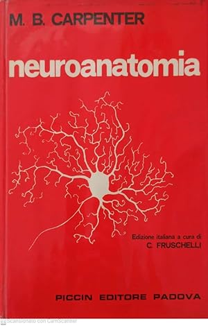 Imagen del vendedor de Neuroanatomia a la venta por librisaggi