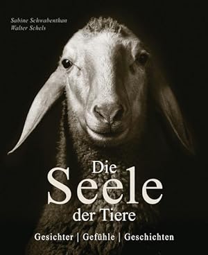 Seller image for Die Seele der Tiere: Gesichter . Gefhle . Geschichten for sale by Studibuch