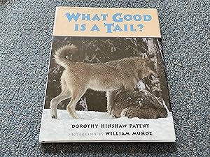 Seller image for What Good Is a Tail? for sale by Betty Mittendorf /Tiffany Power BKSLINEN