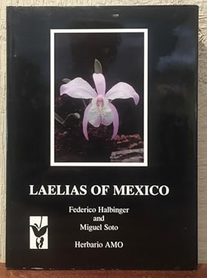 LAELIAS OF MEXICO