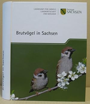 Seller image for Brutvgel in Sachsen. for sale by Nicoline Thieme