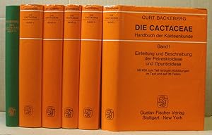 Bild des Verkufers fr Die Cactaceae. Handbuch der Kakteenkunde [in 6 Bnden]: Band I-VI. zum Verkauf von Nicoline Thieme