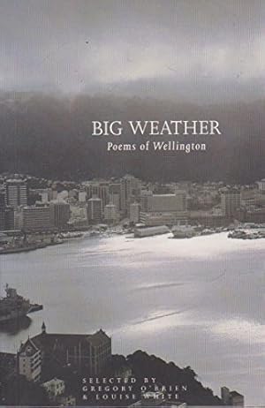 Bild des Verkufers fr Big weather: Poems of Wellington zum Verkauf von WeBuyBooks
