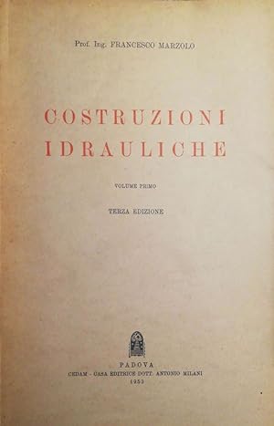 Seller image for Costruzioni idrauliche for sale by librisaggi