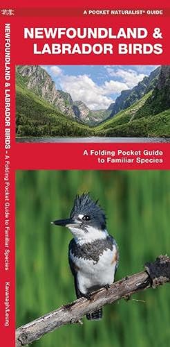Seller image for Newfoundland & Labrador Birds (Paperback) for sale by CitiRetail