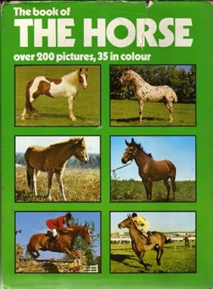 Bild des Verkufers fr Book of the Horse zum Verkauf von WeBuyBooks