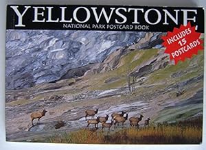 Seller image for Yellowstone (Postcard Books) for sale by WeBuyBooks