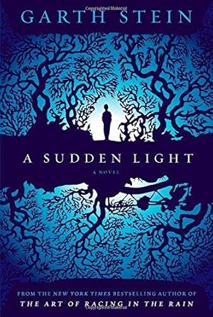 Seller image for A Sudden Light for sale by WeBuyBooks