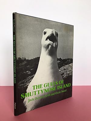 Image du vendeur pour The Gulls of Smuttynose Island mis en vente par LOE BOOKS