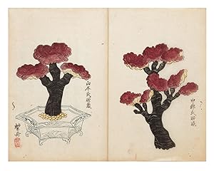 Manuscript on paper, entitled on first leaf "Sakikusa ko" ["Thoughts about the Reishi Mushroom"]