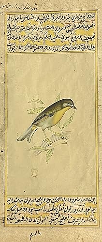 [INDIAN PAINTING ON MANUSCRIPT LEAF: WESTERN YELLOW WAGTAIL BIRD]. Painted in gold and color, ove...